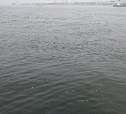 ハプニング後にシーバス