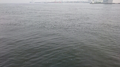 ハプニング後にシーバス