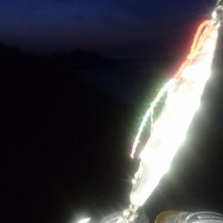 仁淀川河口サーフ ショアジギング