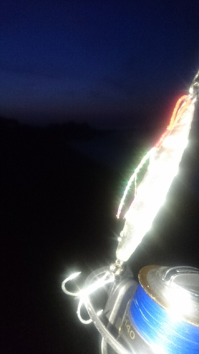 仁淀川河口サーフ ショアジギング