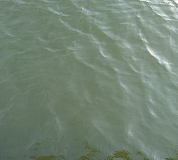 70オーバーげっと✌️