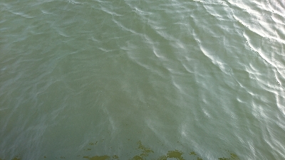 70オーバーげっと✌️