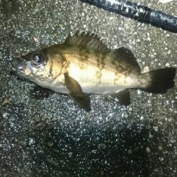 雨にも負けず。