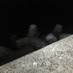 ナイトメバリング