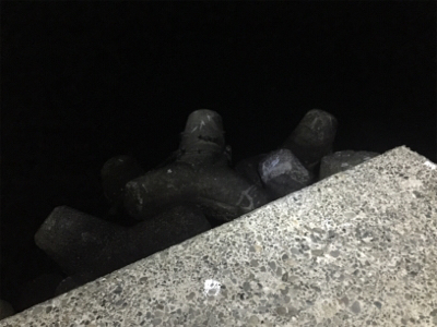 ナイトメバリング