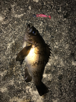 小分けに移動しながら(笑)。