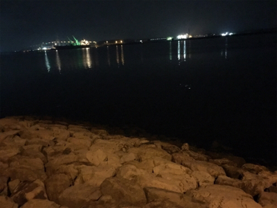 バラシまくり(・・;)