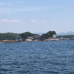 春イカティップラン