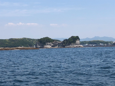 春イカティップラン