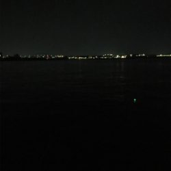 タチウオリベンジ