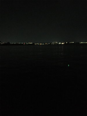 タチウオリベンジ