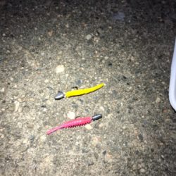 満潮からの下げ