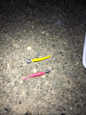 満潮からの下げ