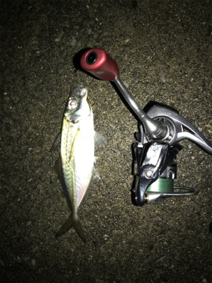 何故そこ!?(釣行 其の弐拾壱)