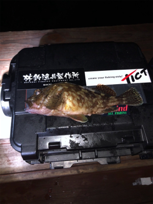 明石メバリング