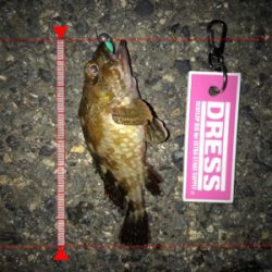 爆風につき早々に退散