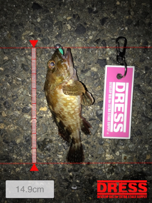 爆風につき早々に退散