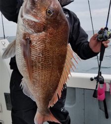 ディープタイラバ