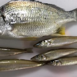 ちょい投げキス+α