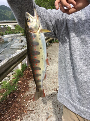 放流日の夕まずめに行ってきた