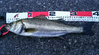 短時間の連チャン