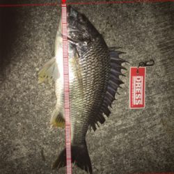 ゴールデンウィーク8日目