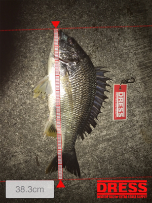 ゴールデンウィーク8日目