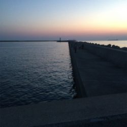 少なくなってきた〜〜