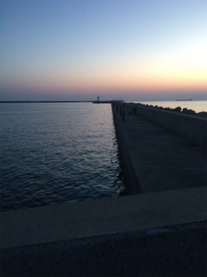 少なくなってきた〜〜