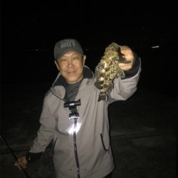 ナイトプラッキングゲーム☆GUNNING-STYLE