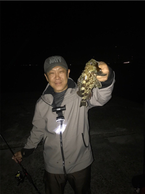 ナイトプラッキングゲーム☆GUNNING-STYLE