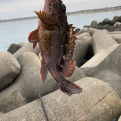 思い通りにはいかない…