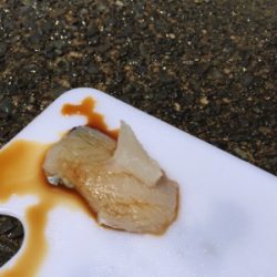 手漕ぎボートでガシラとベラが大量@西小川