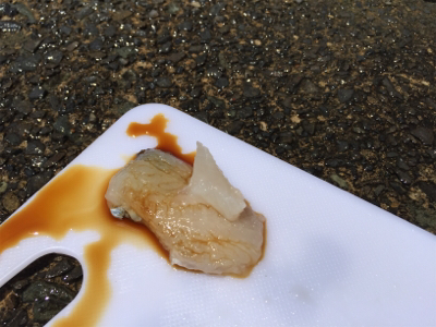 手漕ぎボートでガシラとベラが大量@西小川