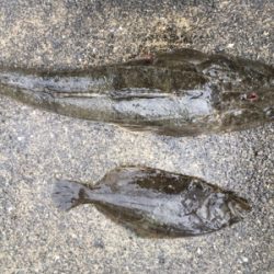 ゴールデン最終日