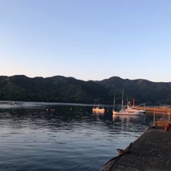 初の紀東マダイ狙い