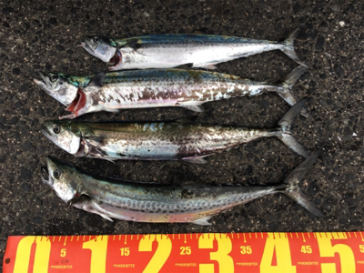 タイミングよく