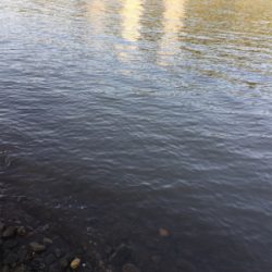 ちょっと!まっすぐになって‼︎‼︎