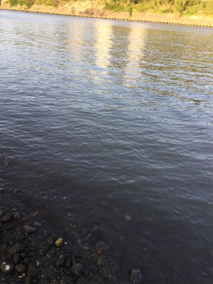 ちょっと!まっすぐになって‼︎‼︎