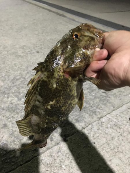 ナイスサイズ！