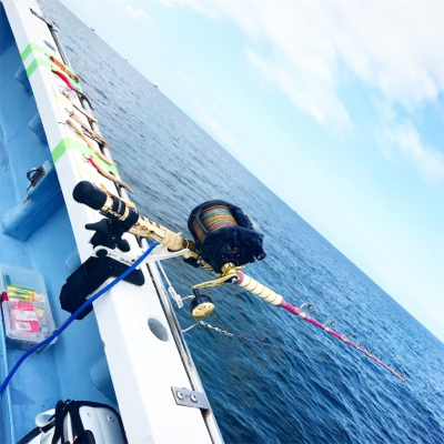 アコウ狙いだったのに