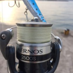 久しぶりにブラクリ!