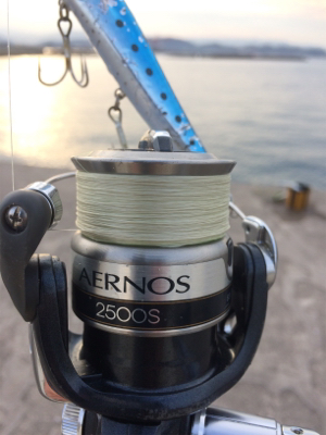 久しぶりにブラクリ!