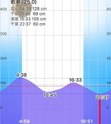 淀川ブリームゲーム ど干潮での釣果