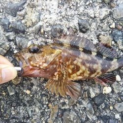 シーバス釣行！！