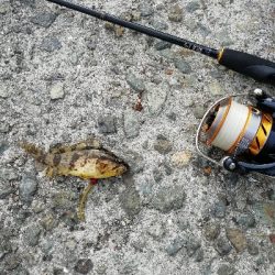 福良漁港にて(旅行のついでに)