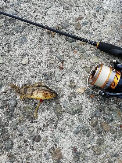 福良漁港にて(旅行のついでに)