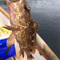 手漕ぎボートでガシラとアナゴが入れ食い@西小川