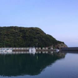 ボウズ逃れで・・・