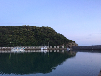 ボウズ逃れで・・・